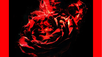 广州 · 404 Rapper 联合专场