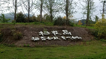 北碚静观腊梅园