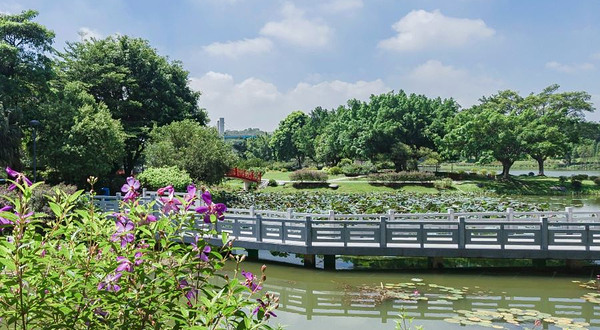东莞植物园