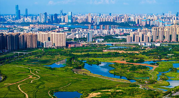 洋湖湿地公园