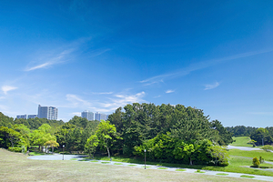 千叶县立幕张海滨公园