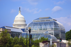 美国国家植物园