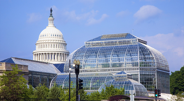 美国国家植物园