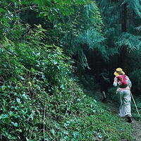 高黎贡山中段自然保护区