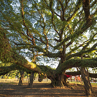 福州国家森林公园