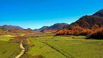 红池坝高山草场