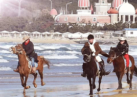 威海金辰骑马俱乐部