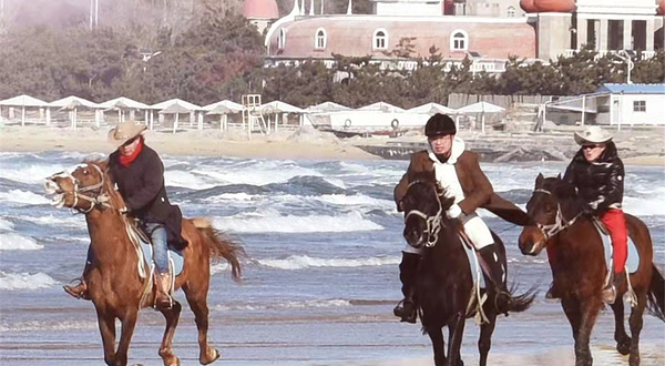 威海金辰骑马俱乐部