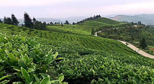 乐业县故事小镇