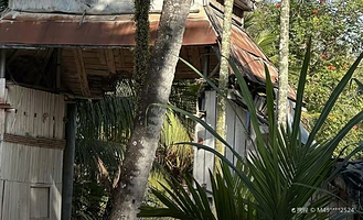 南田黎苗风情村