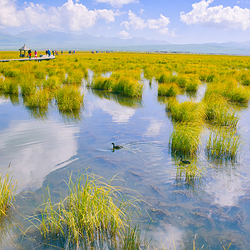 若尔盖花湖生态旅游区