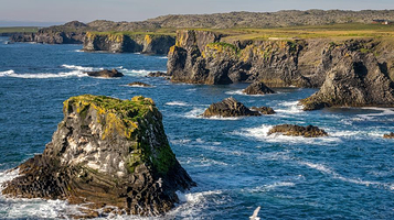 Arnarstapi Cliff Viewpoint