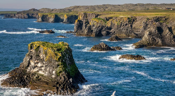 Arnarstapi Cliff Viewpoint