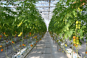 上饶云谷田园生态小镇