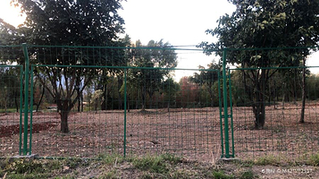 洱海玉白菜湿地公园