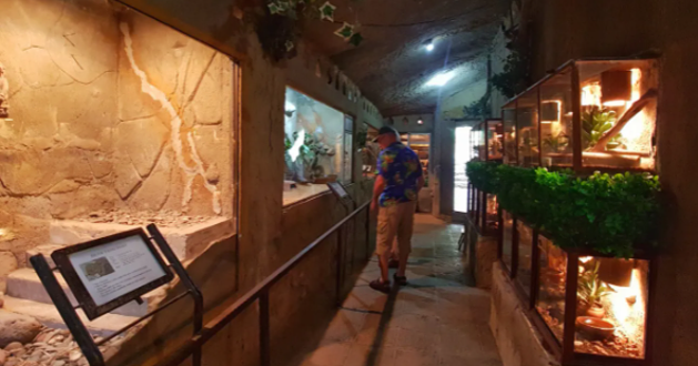 巴厘岛爬行动物公园