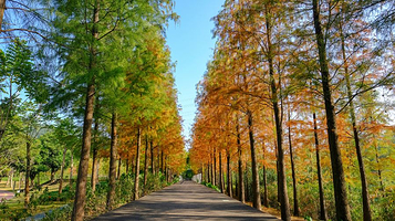 天河大观湿地公园