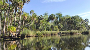 Crystal River National Wildlife Refuge