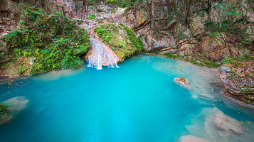 大口国家森林公园