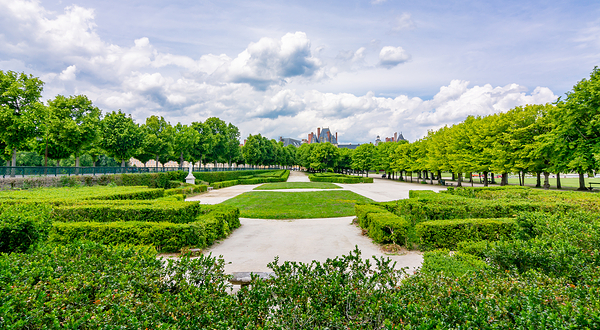 枫丹白露城堡花园