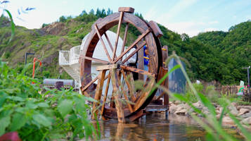 花园星空共享农场