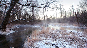 露水河国际狩猎场