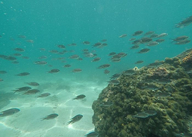 双月湾潜能潜水俱乐部