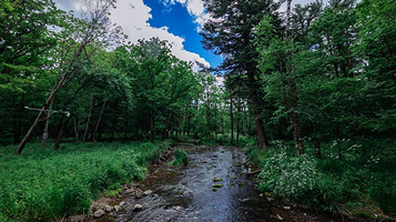 火炉山森林公园