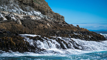 茂名电白区童子湾旅游景区