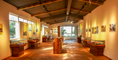 西岛女民兵展览馆