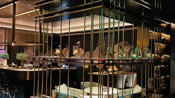 桃花源影院式洗浴足道会所