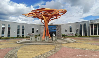 易门野生菌博物馆