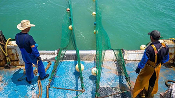 象山游船出海基地