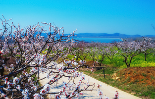 徐州吕梁风景区