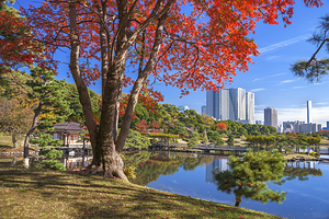 滨离宫恩赐庭园