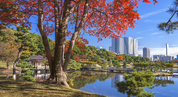 滨离宫恩赐庭园