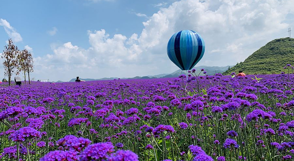 锦绣田园