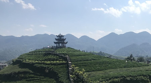 伍家台贡茶文化旅游区-观景台