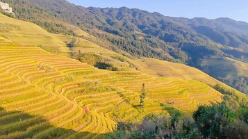 西山韶乐观景点