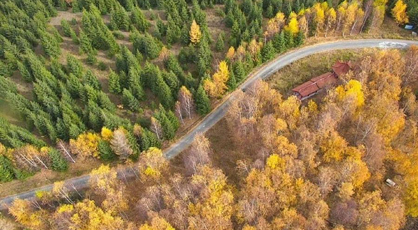 乌苏佛山森林公园