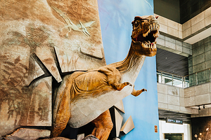 中国古生物博物馆