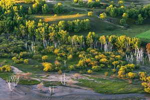 克什克腾旗草原