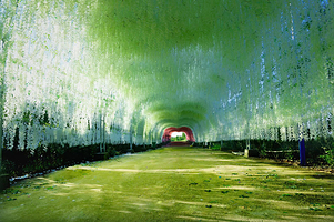 佐家寨农业休闲园