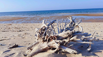 海南棋子湾滨海度假区