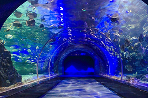 遵义冰雪海洋世界