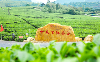 积庆里红茶谷