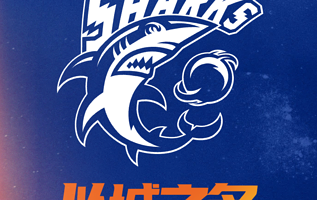 上海久事大鲨鱼主场赛