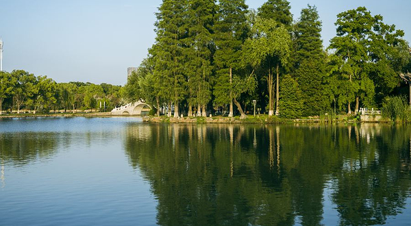 安庆市菱湖风景区
