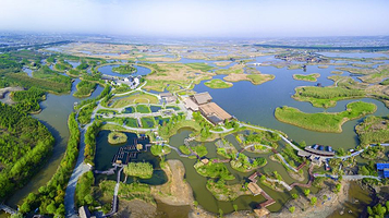 杭州湾国家湿地公园