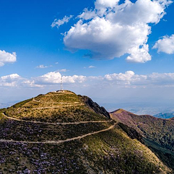 龙肘山